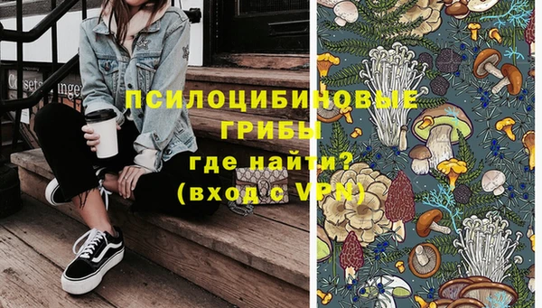 хмурый Абинск